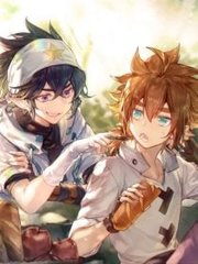 深入了解 十大黄台免费